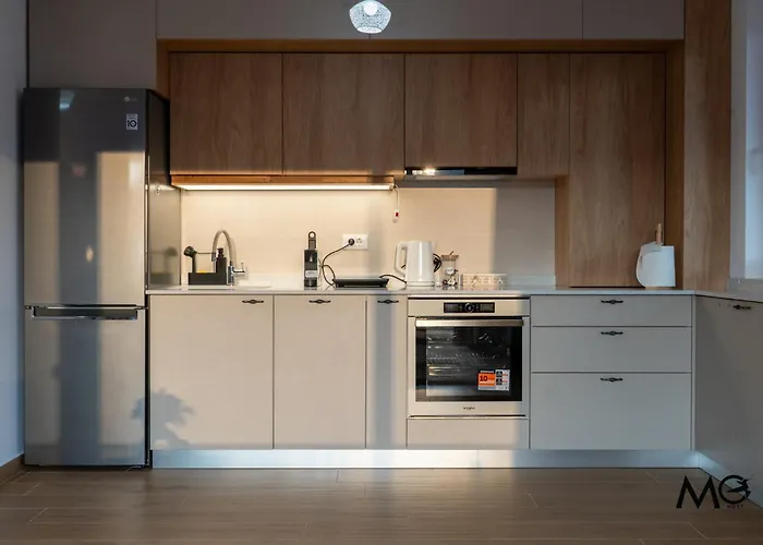 Apartment Mohost Urban 2 - Modern Retreat By The Mountains Brasov