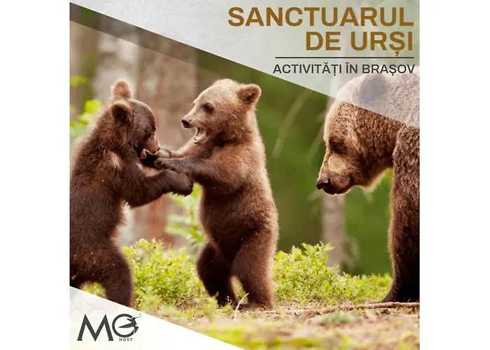 Mohost Urban 2 - Modern Retreat By The Mountains Апартаменти Брашов